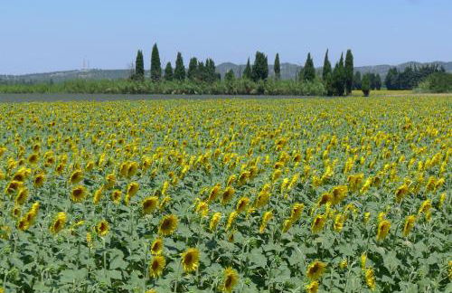 Tarascon Le Treize avec piscine privée et clim - Foto 37