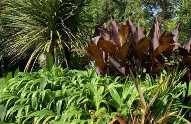 Les cabanes de l'océan, Villa confort proche plage sauvage - Photo 9