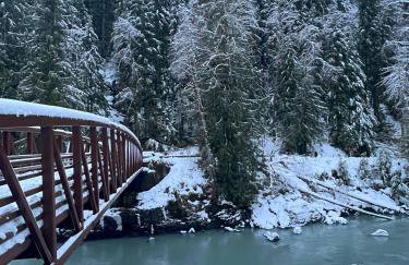 Rusty Bridge River Lodge - Hot tub - Fireplace - Firepit - Foto 22