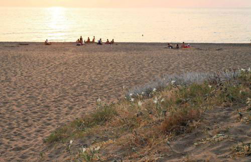 Near The Sea - Foto 58