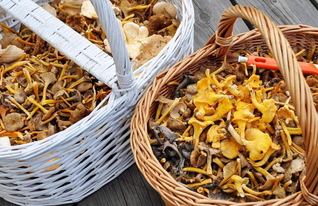 4 Person Holiday Home in Jarpen - Foto 11