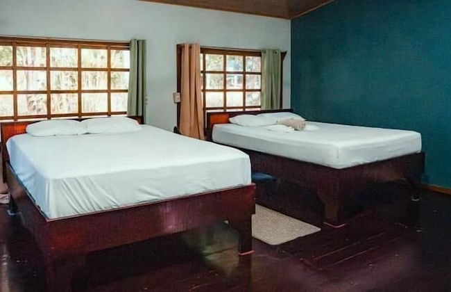 Kinkajoungalows - Foto 2