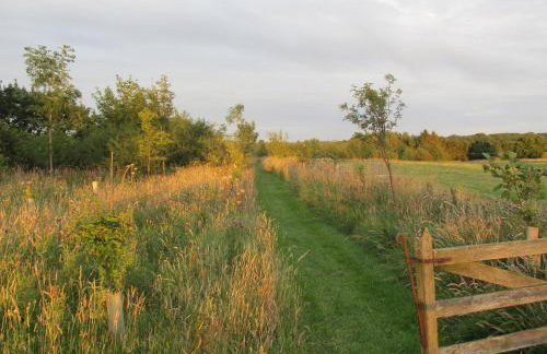 Lapwing Cottage - Foto 15