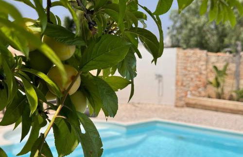 Villa B&B Antiche Macine del Salento - nel cuore del Salento - Foto 42