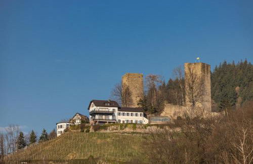 Hochkopf Suite - Premium Apartment - Schwarzwald - Photo 33