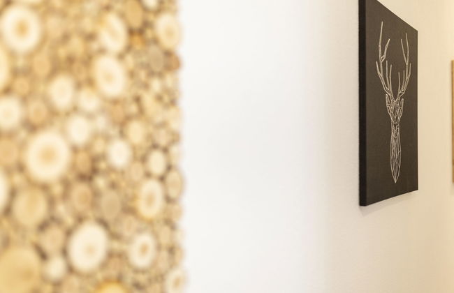 Apart Schachinger - Foto 10