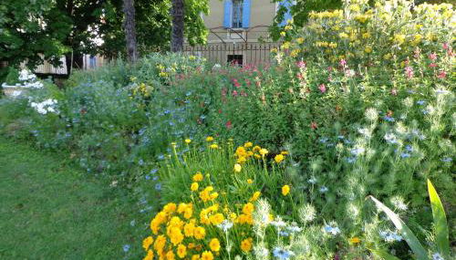 Domaine Les Rivales - Photo 2