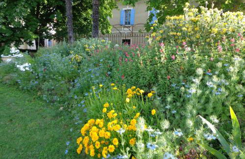 Domaine Les Rivales - Photo 2