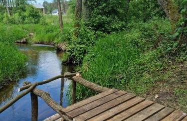 Sosnowy Strumyk - Foto 40