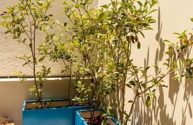 Niriis Hotel - Foto 48