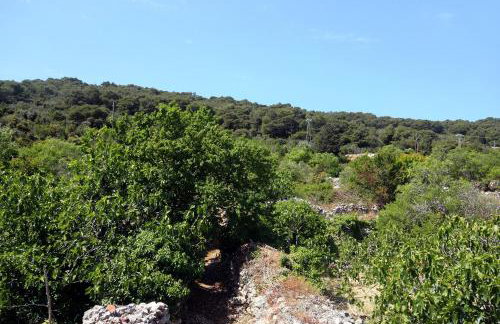 Holiday apartments Veli Iz, Iz - 6253 - Foto 15