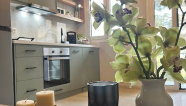 Green Studio House - Foto 4, stove
