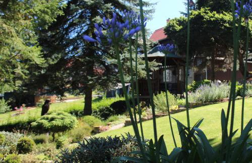 Appartement`s - HAUS KAROLA - Photo 26