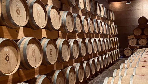 Botti della cantina Cuna de Tierra