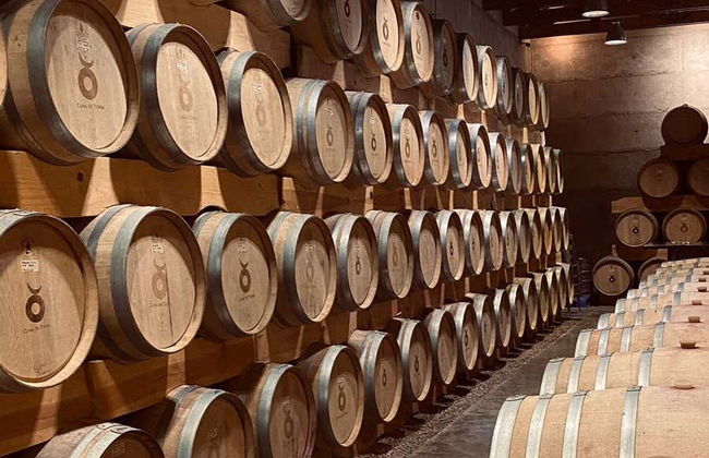 Wine Tour of Guanajuato - Foto 2