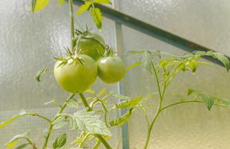 SILVA Guest House - dom wczasowy, tenis, basen, balia i sauna - Foto 43