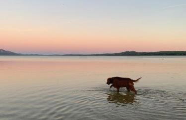 Appartement BM - Foto 13