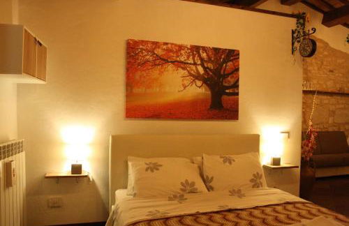 L'ALPACA DELLA ROSSA - AGRITURISMO - Foto 35