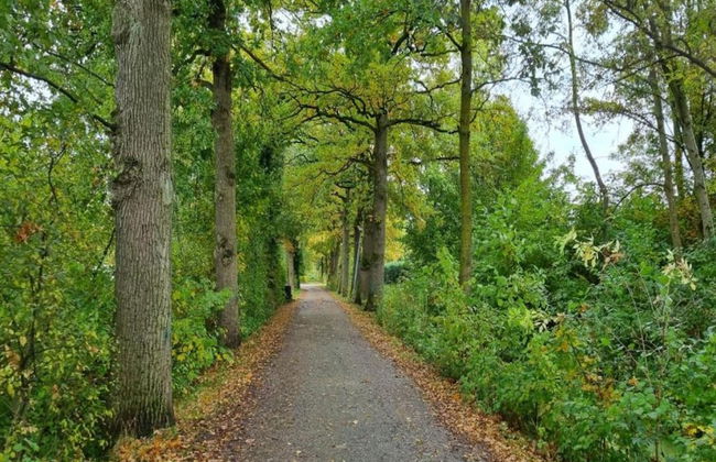 Villa in Nijmegen With VIP Amenities - Foto 26