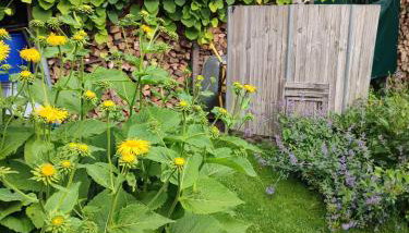 Kleiner Bauernhof in Ostseenähe - ganze Ferienwohnung mit 2 Zimmern - Foto 5, Garden, Garden view
