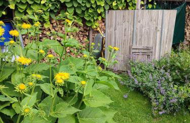 Kleiner Bauernhof in Ostseenähe - ganze Ferienwohnung mit 2 Zimmern - Foto 5