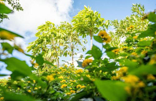 CASA LAZARO, TEGUESTE - Photo 62