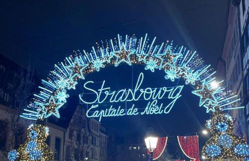 Robertsau, jardin en ville - Foto 24