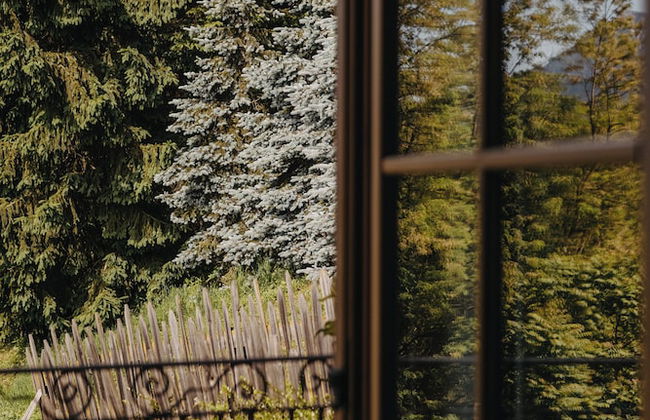 Coronata Haus - Photo 49