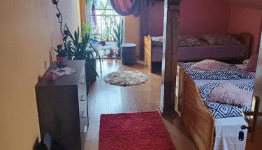 Agroturystyka Świerki - Foto 2