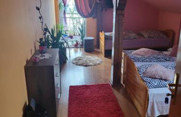 Agroturystyka Świerki - Foto 2