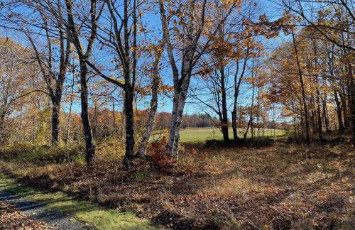 Not-so-tiny, Tranquil, Pond front Bungalow - Foto 10