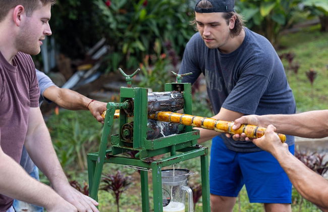 Cabañas Caeli Rainforest Glass Cabin El Congo La Fortuna - Foto 35