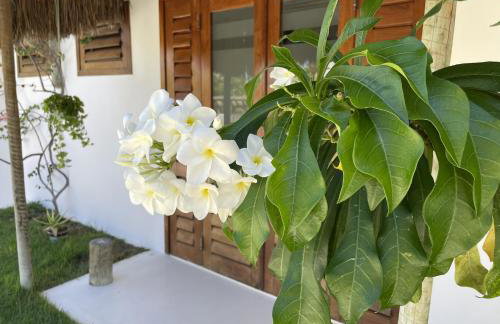 Villa Caribou - Foto 19