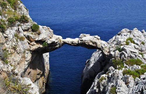 Aspra al delfino blu - Foto 30