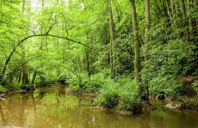 Cozy Escape in Bohon - Photo 33