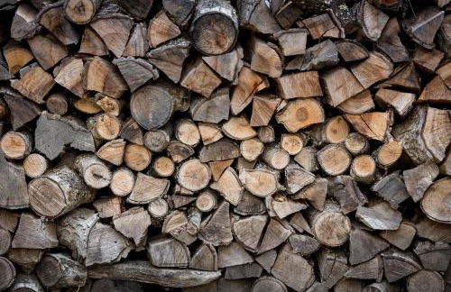 Rifugio Uschione - Foto 19