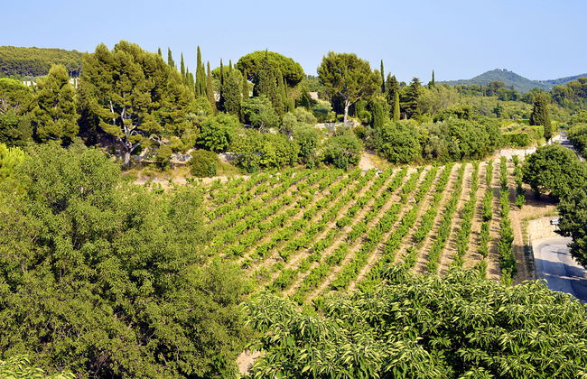 Le Mas Line - Foto 29