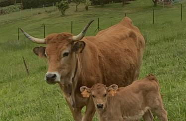 Casa Paloma - Foto 51