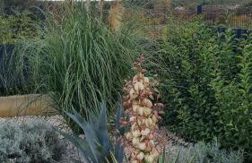 Villa Ispo Volta - Photo 51