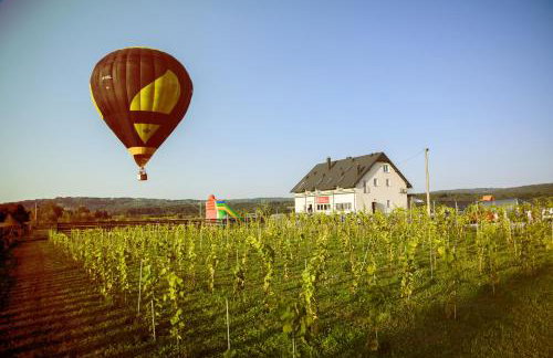 Winnica Strzegocice SPA - Foto 20