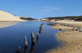 Beautiful Landes house park and tennis near ocean - Foto 33