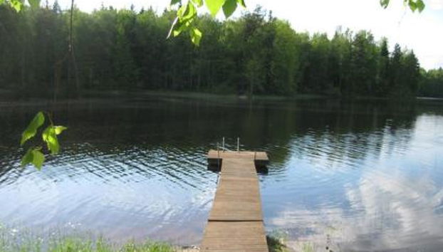 Honkaharju - Foto 4, Inside other