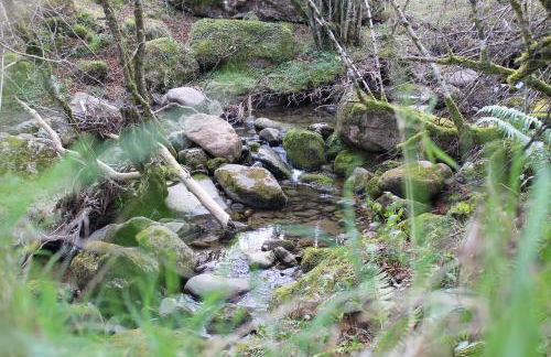 Apartamentos San Antonio de Garabandal - Foto 41