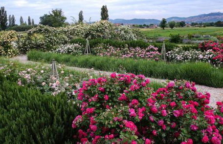 Il Fienile di Assisi - Photo 36