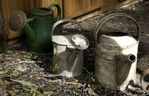 Unique Glamping Rental with Amazing Hiking Trails near Gainesville, Florida - Foto 5