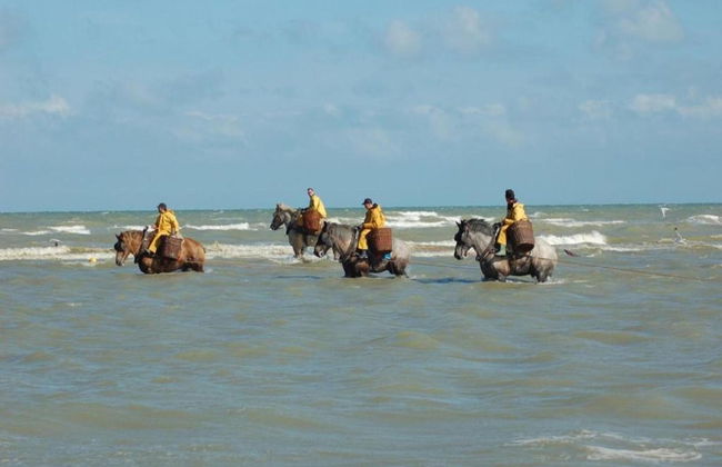 Apartment in Sint-idesbald Near the Beach - Photo 34