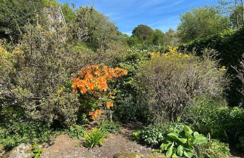 Mawddach View, Snowdonia Hot tub & Pet friendly - Foto 11