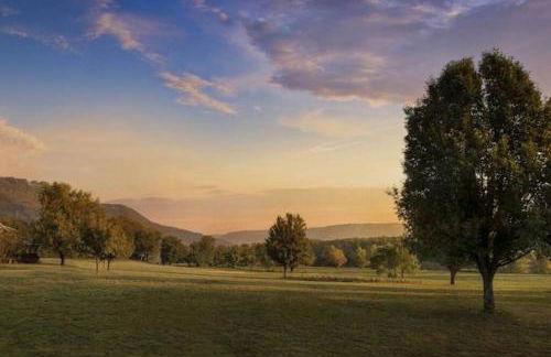 Little River Guest House at Tennessee RiverPlace - Foto 12