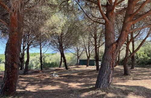 Studio 3 pers climatisé avec piscine à ST FLORENT - Foto 15