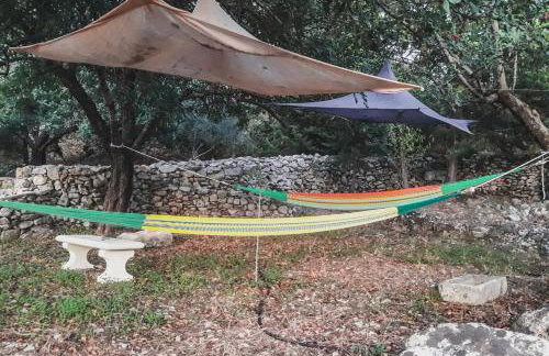 Lemon Tree Eco-Retreat - Foto 12